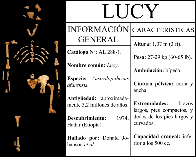 Ficha informativa de Lucy